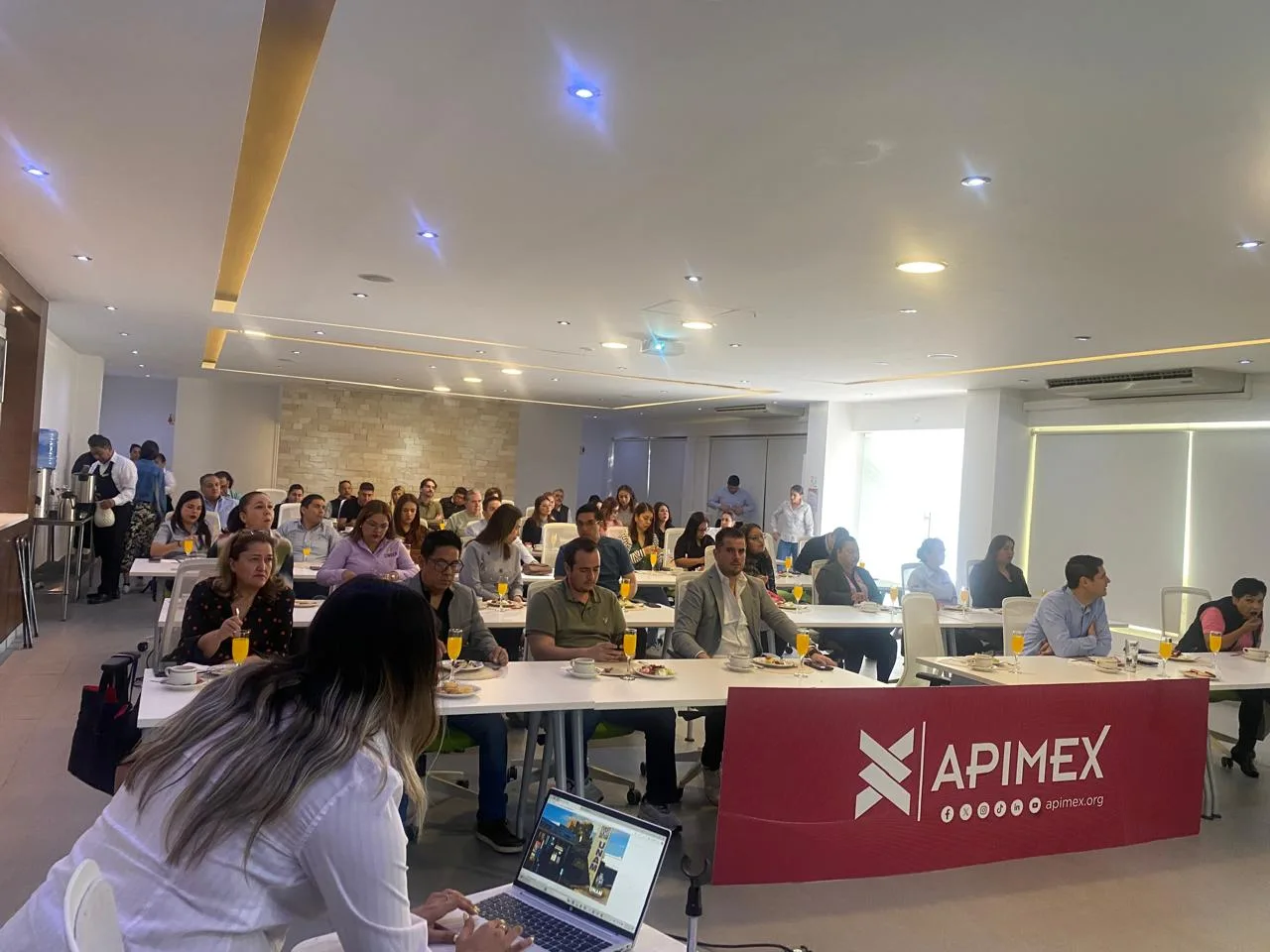 CURSO APIMEX- FUNAMGTO