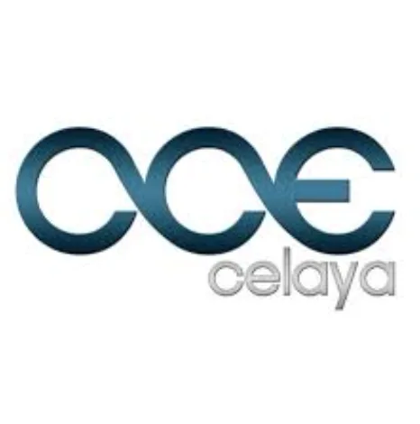 Consejo Coordinador Empresarial de Celaya